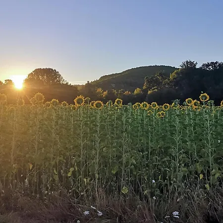 Gorgeous In Vakantiehuis