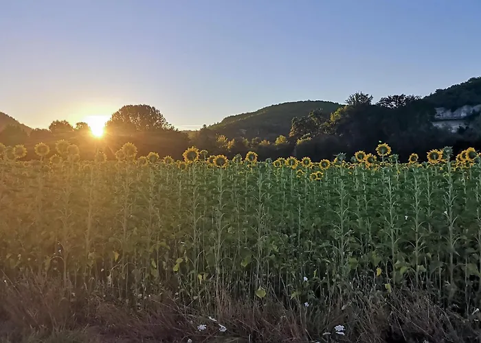 Gorgeous In Tatil Evi